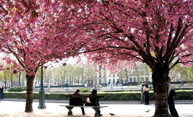 Things to do in Paris in March
